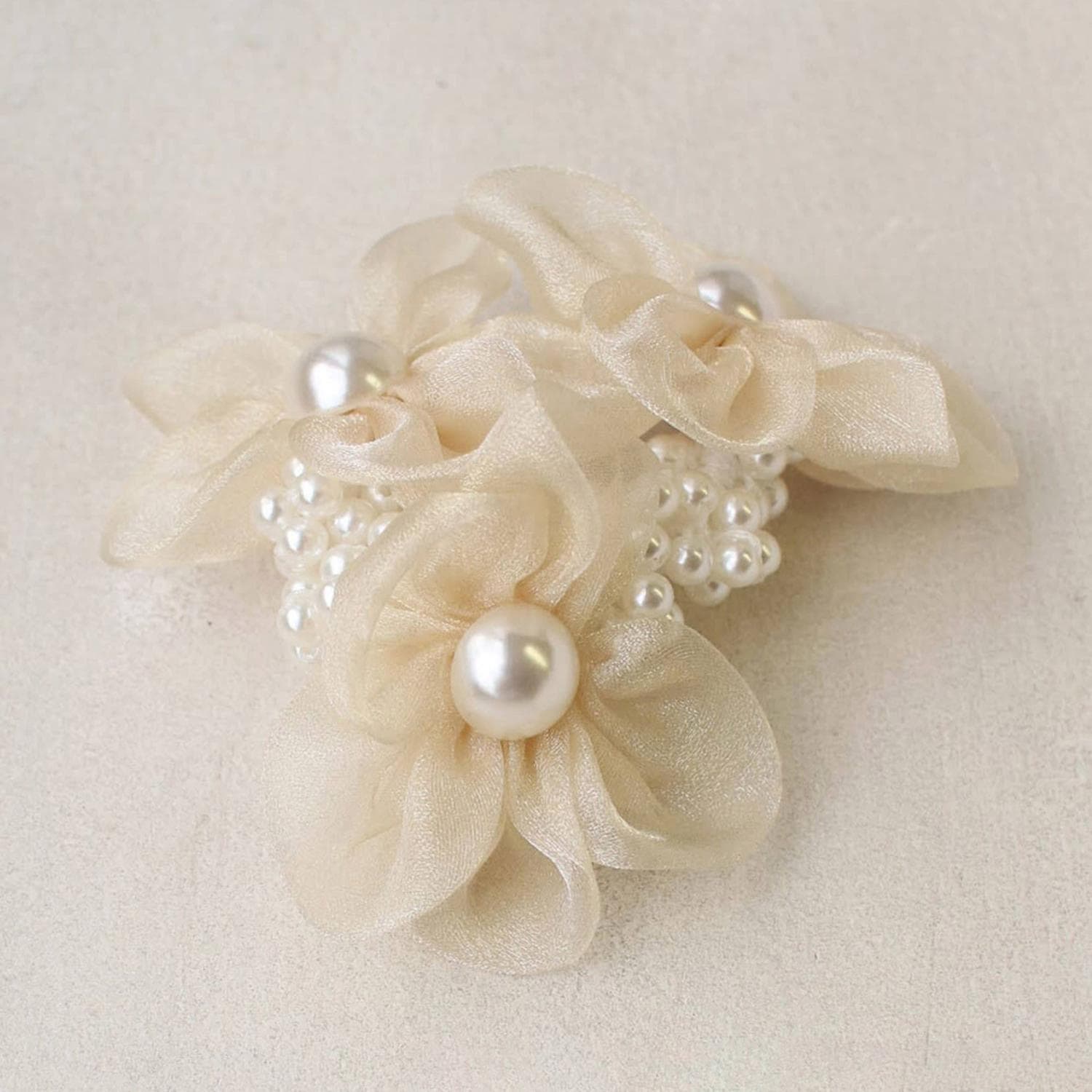 [}C]V[K[VV/obN[ht@~[iBACKYARD FAMILYj VpS[h