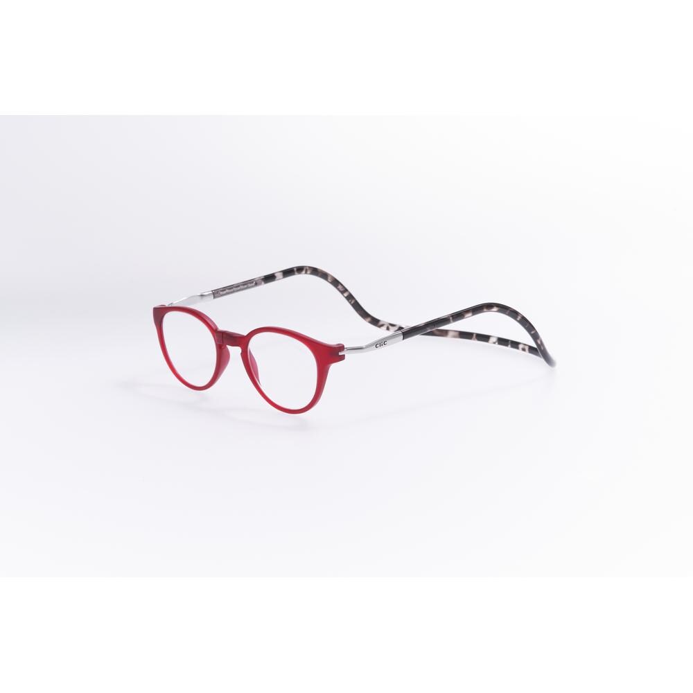 [}C]NbN pgX/obN[ht@~[iBACKYARD FAMILYj }bgbh/ubNf~