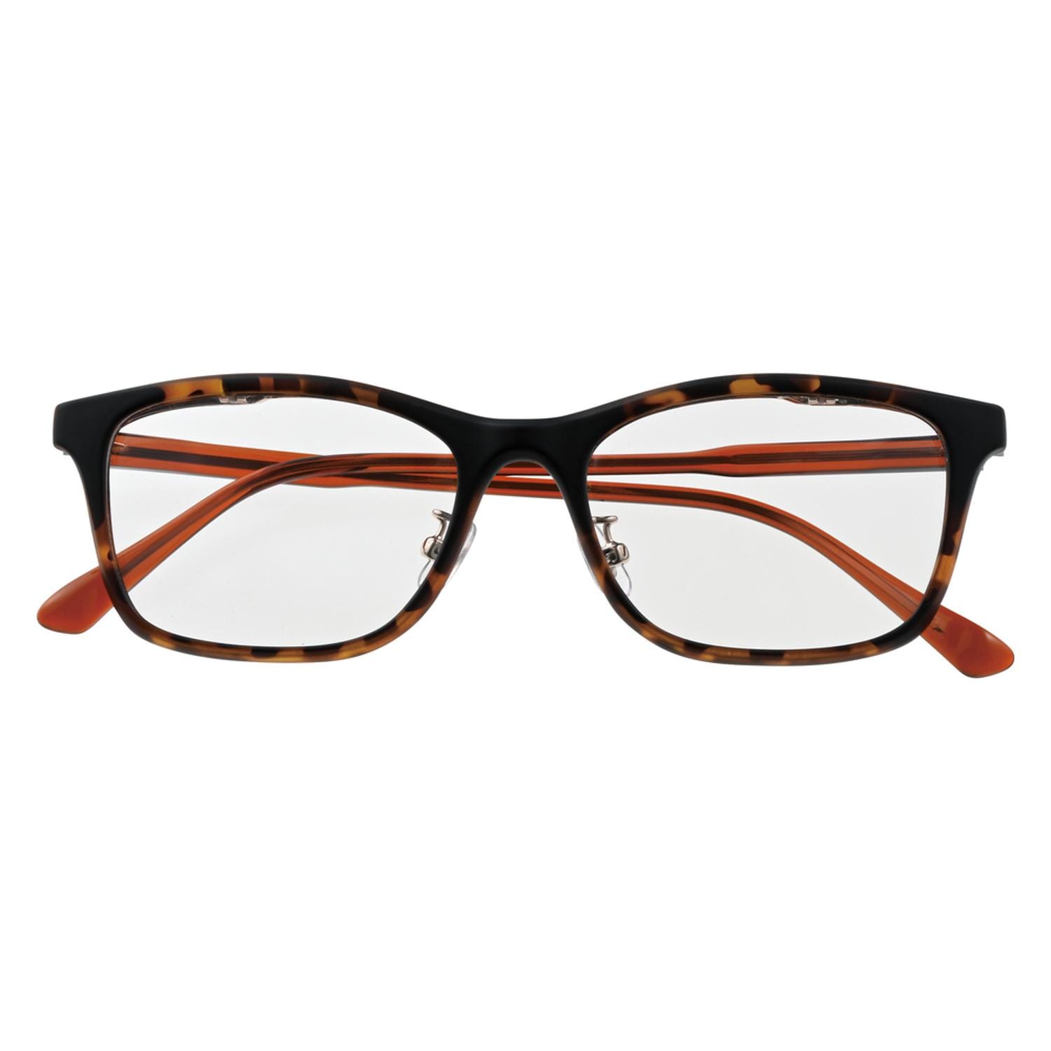 [}C]Cu[X^C tbvAbv/obN[ht@~[iBACKYARD FAMILYj f~uE