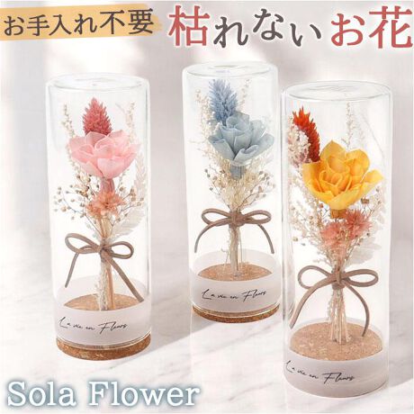 [^:apsoracork]yuhz m[uh NO BRANDyiz \t[ RNu[Py[J[^ԁz yizyԂɂ肰ȂʂvXzƒuŁAɂƂ₵Bu\t[ RNu[PvByƂŎdグ\t[zVR̃\̖؂VAV[gɔ̂AƂłԂ̌`Ɂij{ŃAWĂ܂B100VRfނ̂߁A̍܂ByGVJŃTXeBiuz^C̐c̐鐶͂̋\̖؂AʂȂωASDGsACeByhCt[؂₩ɁzFł\t[BF𐶂ݏoƂłAʂ肪AbvByi`ꂽ͋Czאg̃KXh[ɁA\t[̃AWgBRNƂ̑QBysv̌͂Ȃԁz͂ꂸɐԂ蒷y߂āAȂǂ̂KvȂICyɎ遝y؂ȕւ̑蕨ɂ҂zꏊI΂ȂXTCYułMtgɂ΂ACeByfށz\t[EKXERNyYz {yTCYz[c]15cm^[]5cm^[s]5cmTCY͓Xv̎TCYłBۂ̏iȂтɃ[J[\LTCYƂ͑̌덷ꍇ܂B炩߂Bydʁz131gyӓ_z舵̍ۂ́AipbP[WȂǂɋLڂĂi\AAeV^OAgp̒ӎȂǂKmFB{̖ړIȊOɂ͂gpɂȂȂŉBJ⃂j^[̐ɂA摜Ǝ̐F̈Ⴂꍇ܂̂ł肢܂BypV[zv[g 蕨 Mtg Ԃ zj V j j\t[ KX{g ʔ RNu[P t[  ͂ h[t[ fBXvC u[P  u u ̓ i` Mtg 蕨 Mtg 킢   j  IV CeA