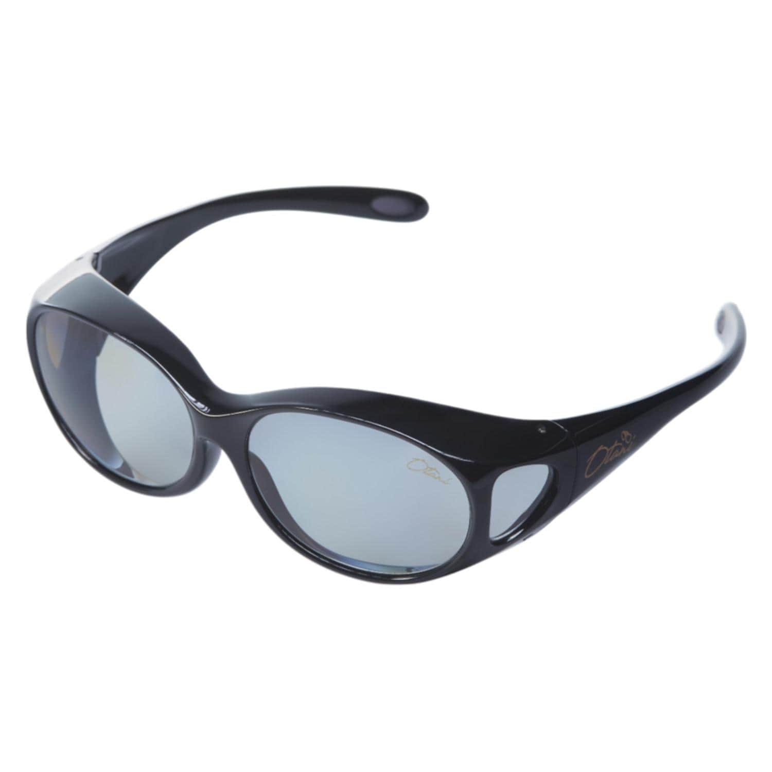 [}C]Otani I[o[OX ݂炢/obN[ht@~[iBACKYARD FAMILYj ubN/y[O[