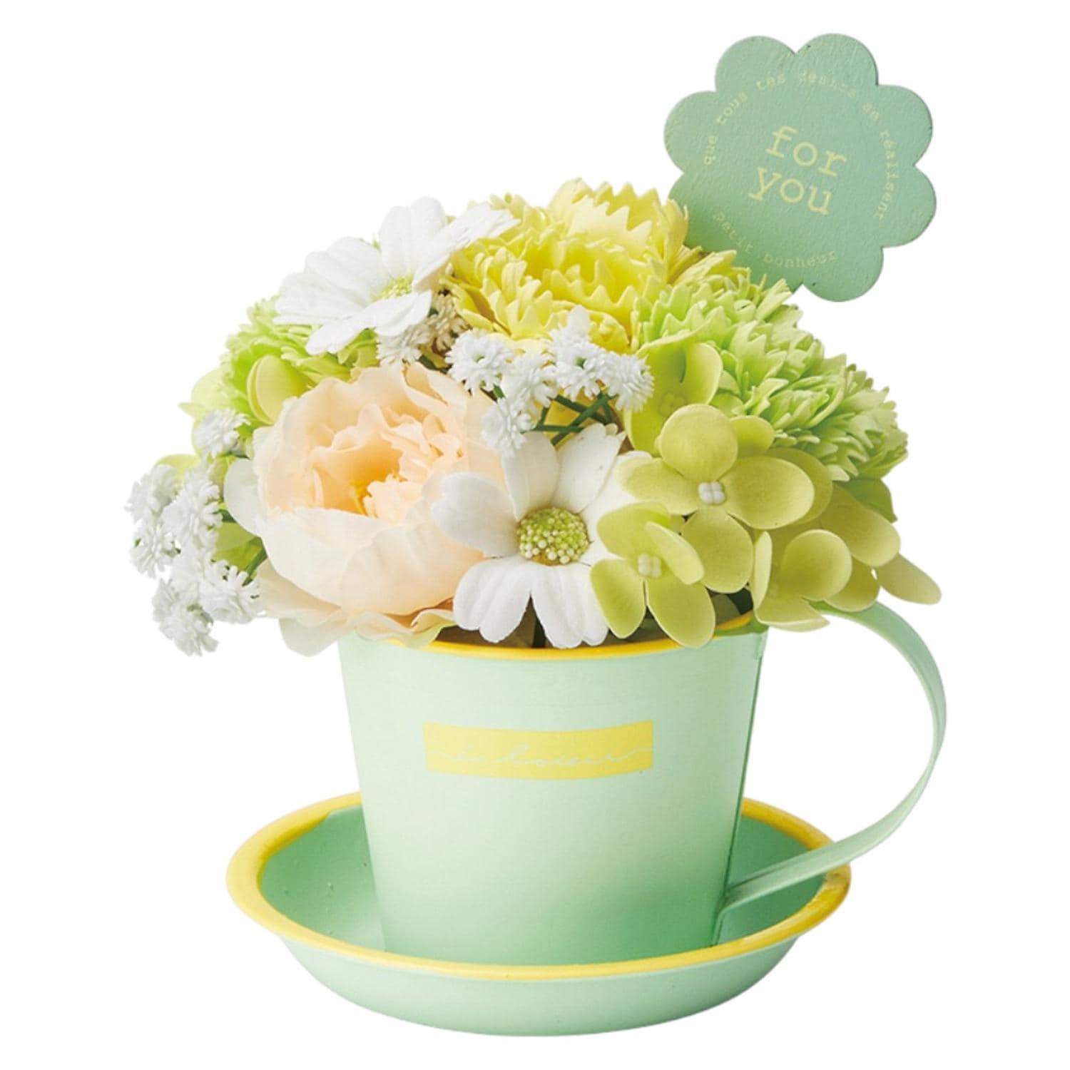 [}C]}O\[vt[/obN[ht@~[iBACKYARD FAMILYj ~L[O[