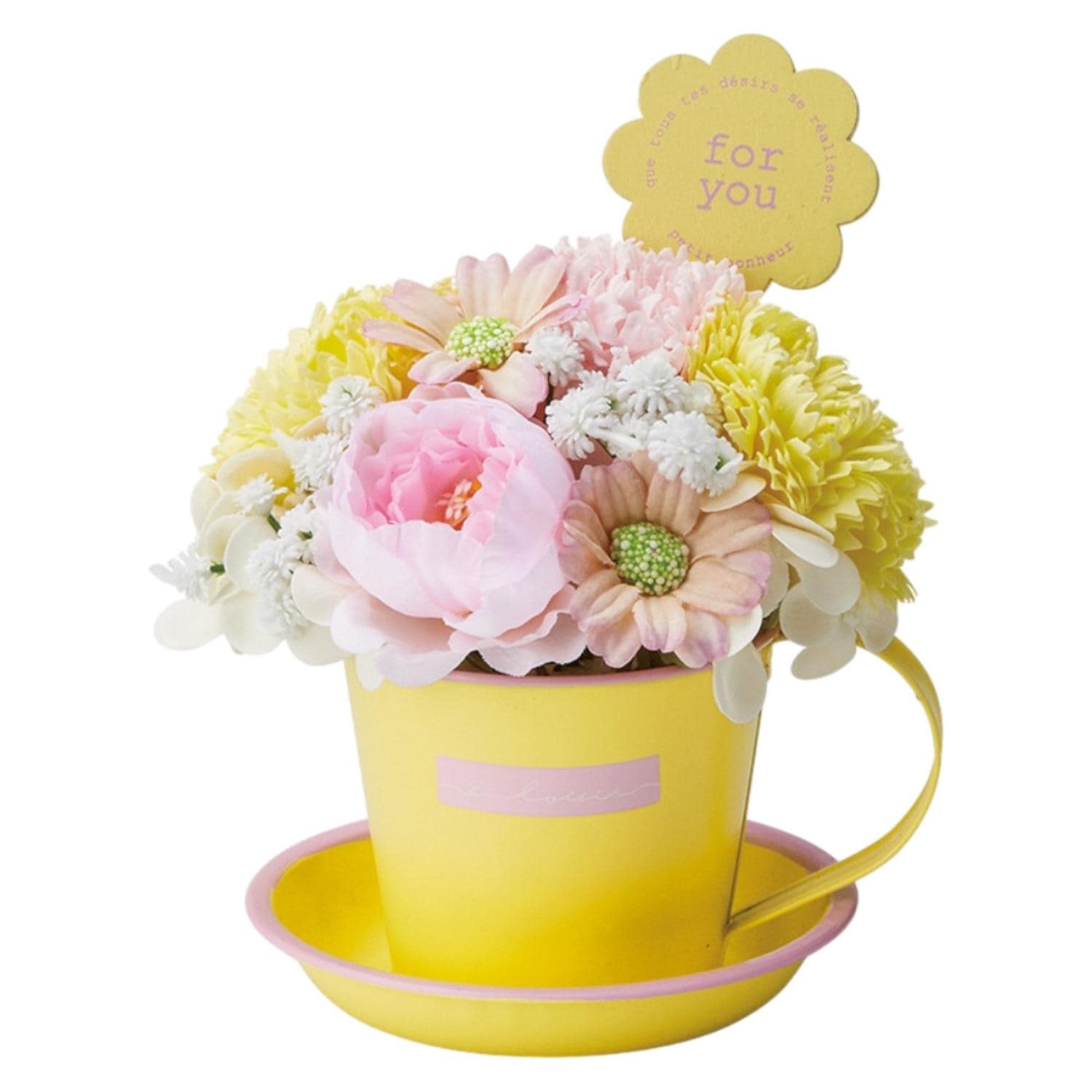 [}C]}O\[vt[/obN[ht@~[iBACKYARD FAMILYj ~L[CG[