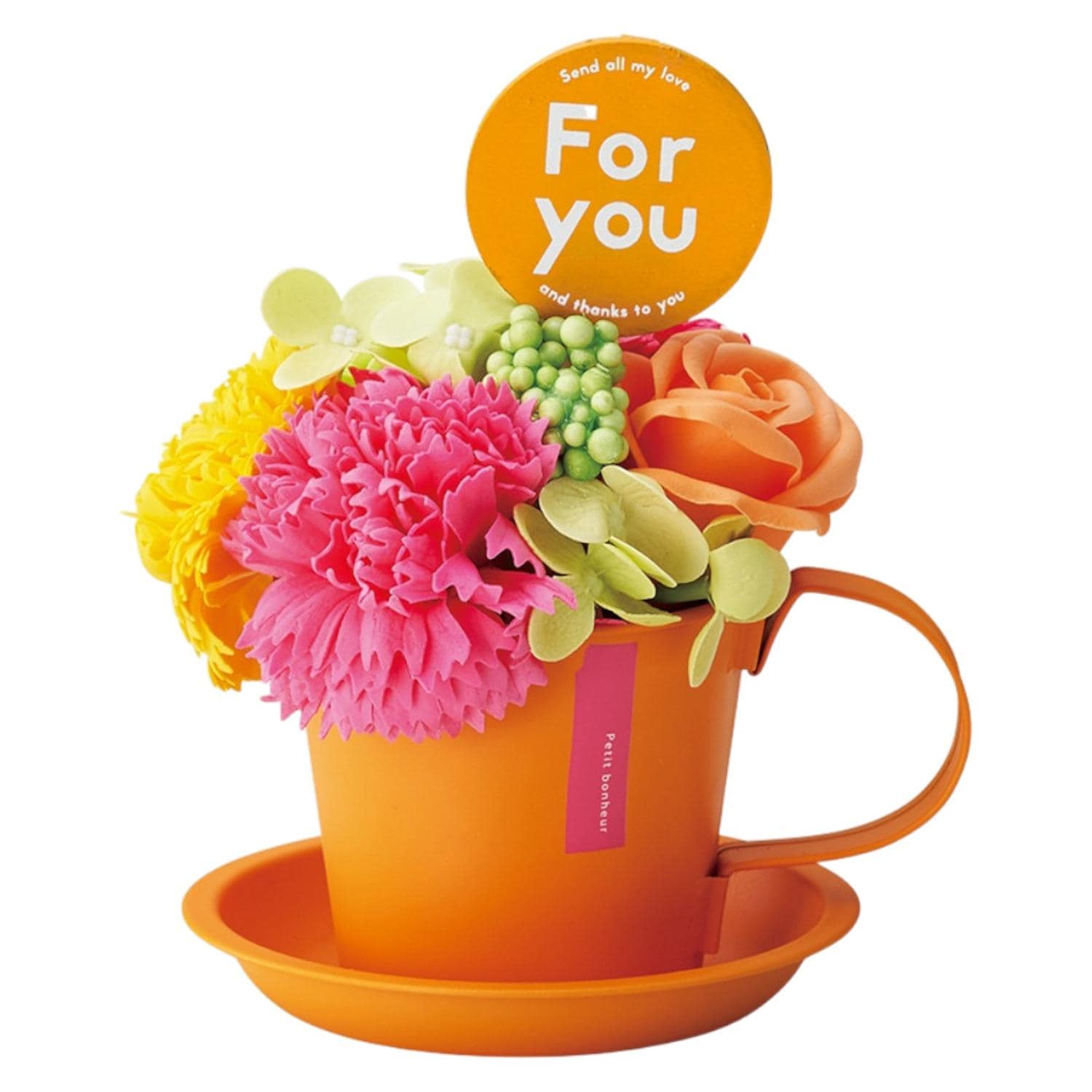 [}C]}O\[vt[/obN[ht@~[iBACKYARD FAMILYj rrbhIW