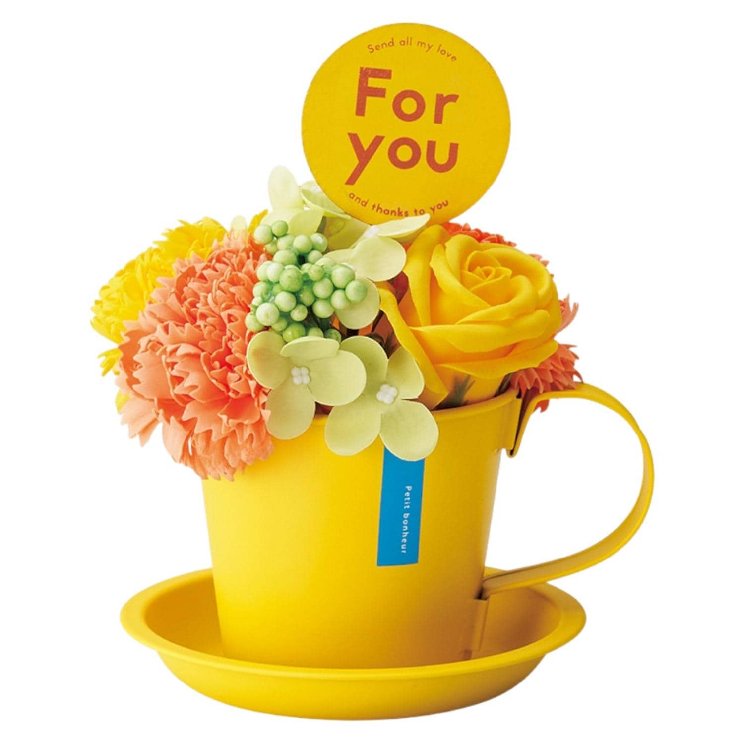 [}C]}O\[vt[/obN[ht@~[iBACKYARD FAMILYj rrbhCG[