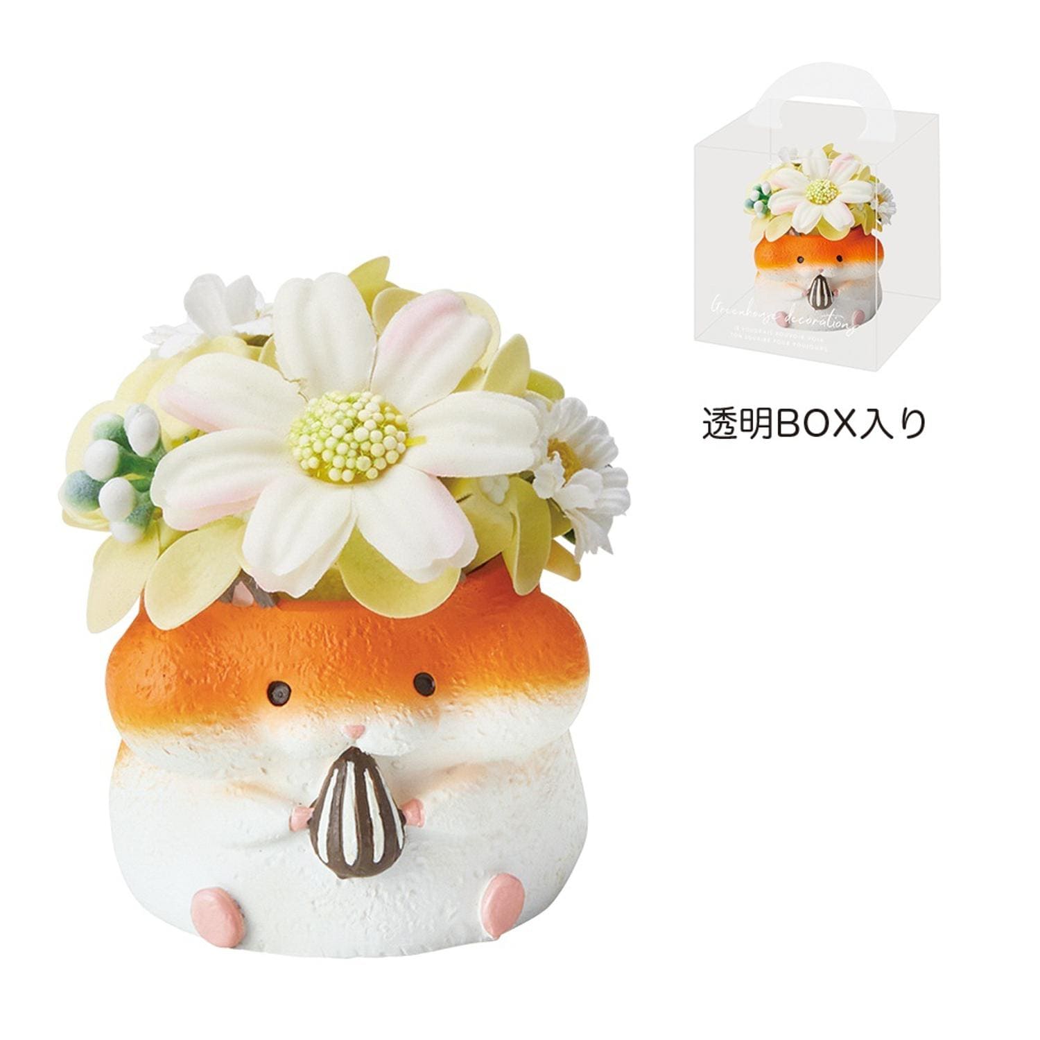 [}C]Aj}W|bg\[vt[/obN[ht@~[iBACKYARD FAMILYj nX^[