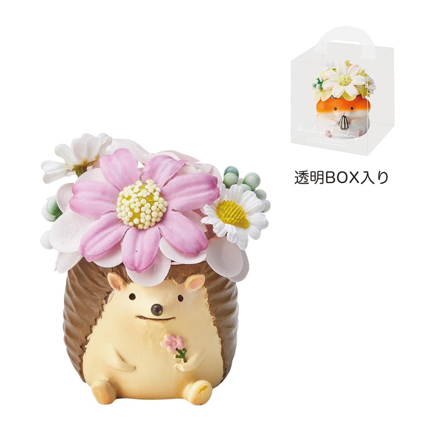 [}C]Aj}W|bg\[vt[/obN[ht@~[iBACKYARD FAMILYj ͂˂