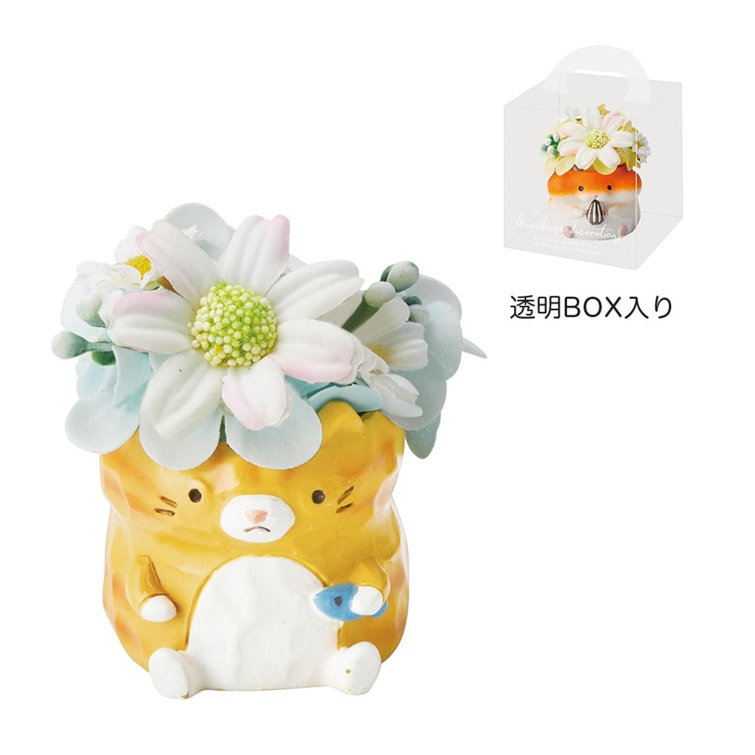 [}C]Aj}W|bg\[vt[/obN[ht@~[iBACKYARD FAMILYj ˂