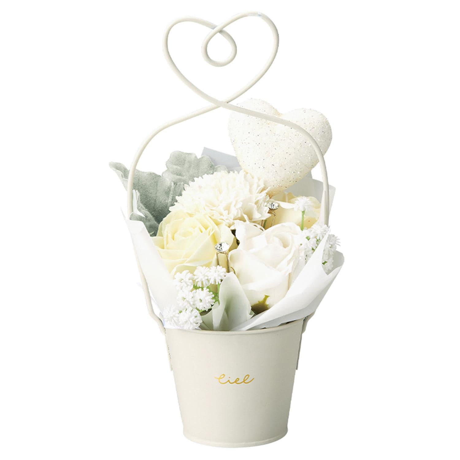 [}C]n[guL\[vt[/obN[ht@~[iBACKYARD FAMILYj zCg