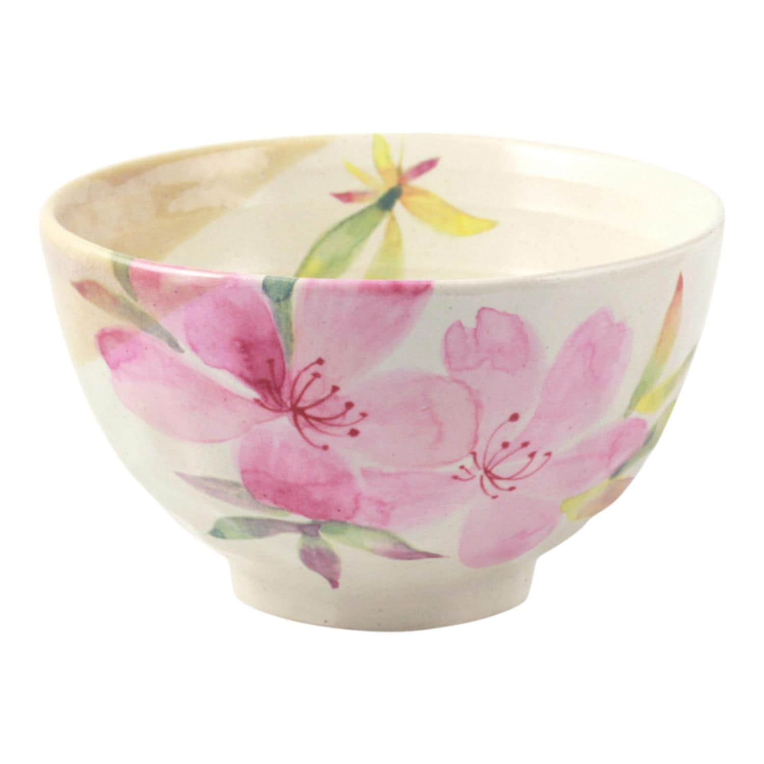 [}C]Ԃ̂ 12јo/obN[ht@~[iBACKYARD FAMILYj 4ccW