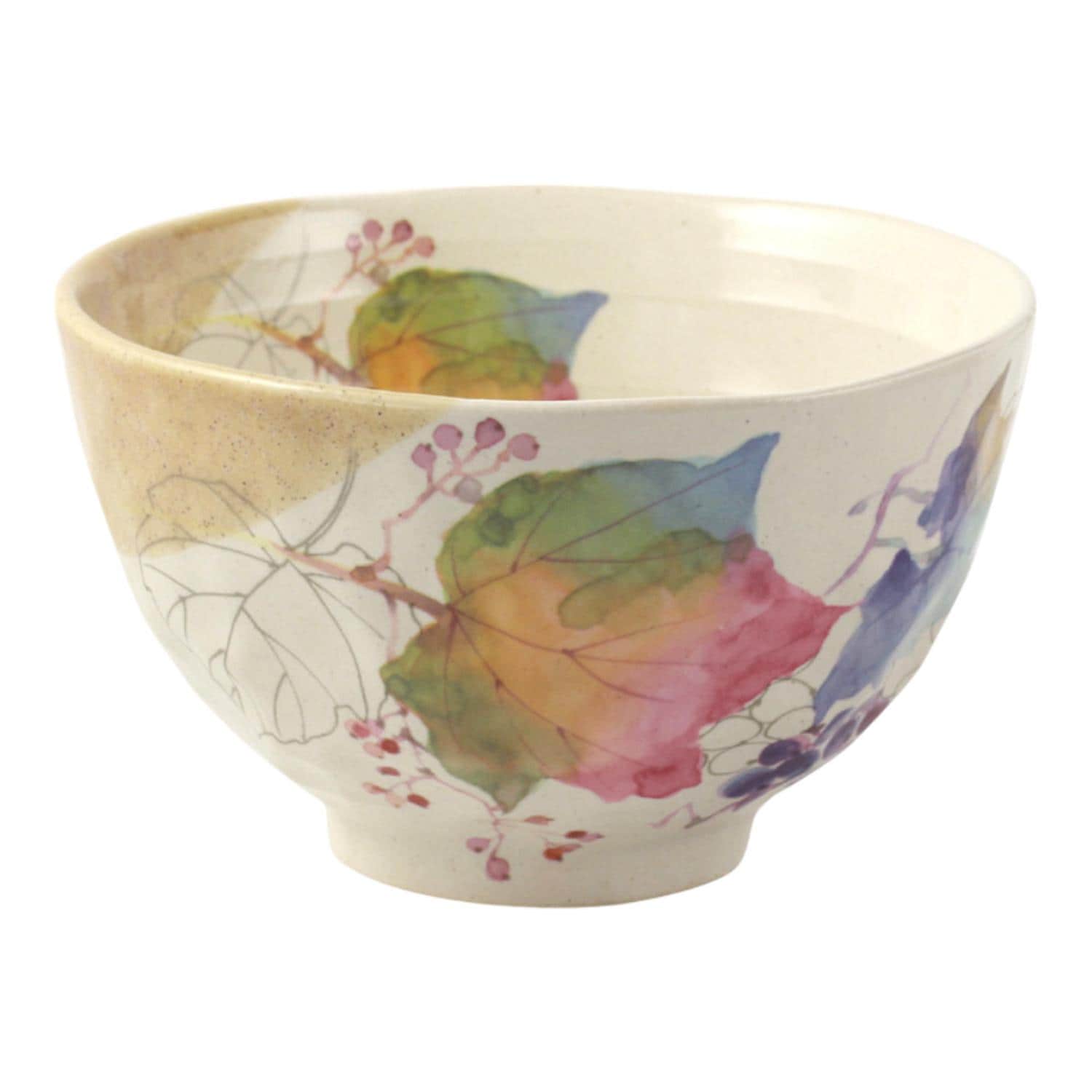 [}C]Ԃ̂ 12јo/obN[ht@~[iBACKYARD FAMILYj 9Ԃǂ