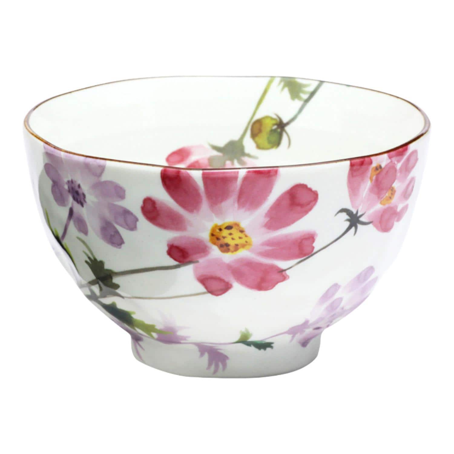 [}C]Ԃ̂ 12јo/obN[ht@~[iBACKYARD FAMILYj 10RXX