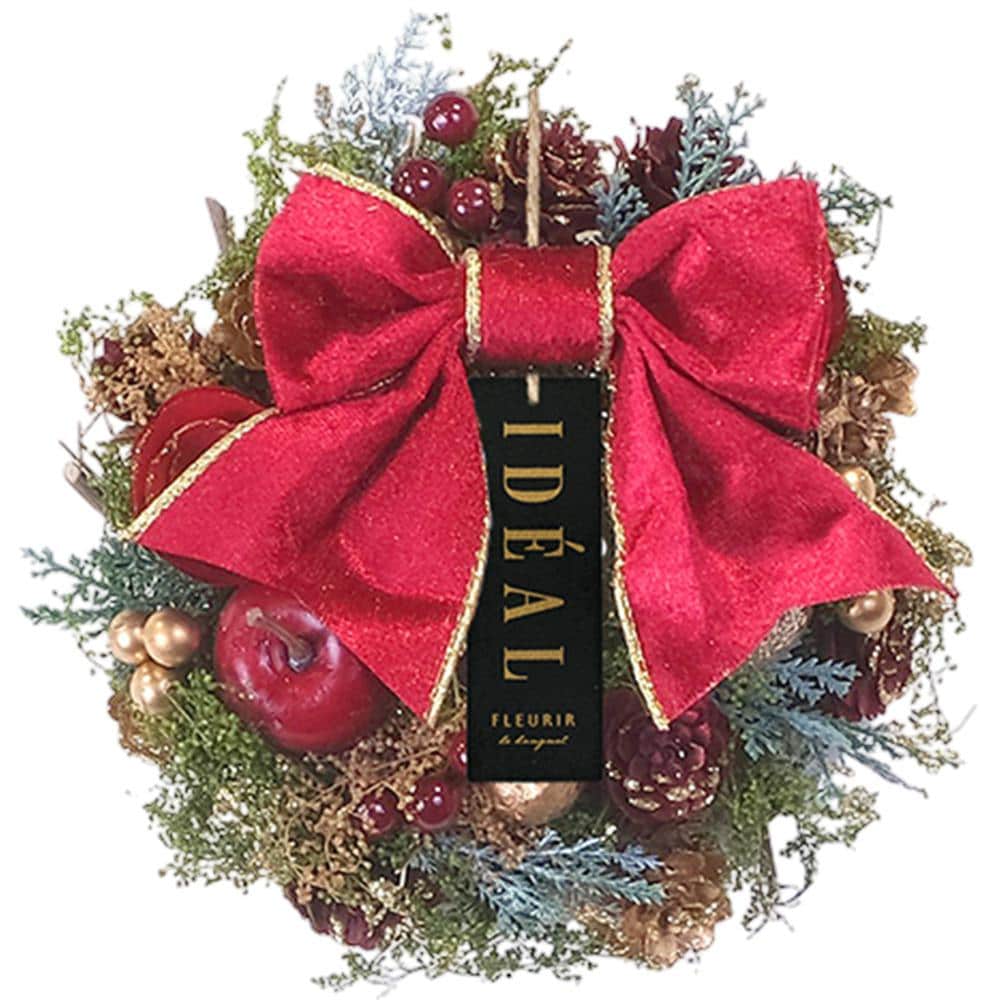 [}C]i`[X SS/obN[ht@~[iBACKYARD FAMILYj tHXgbh{