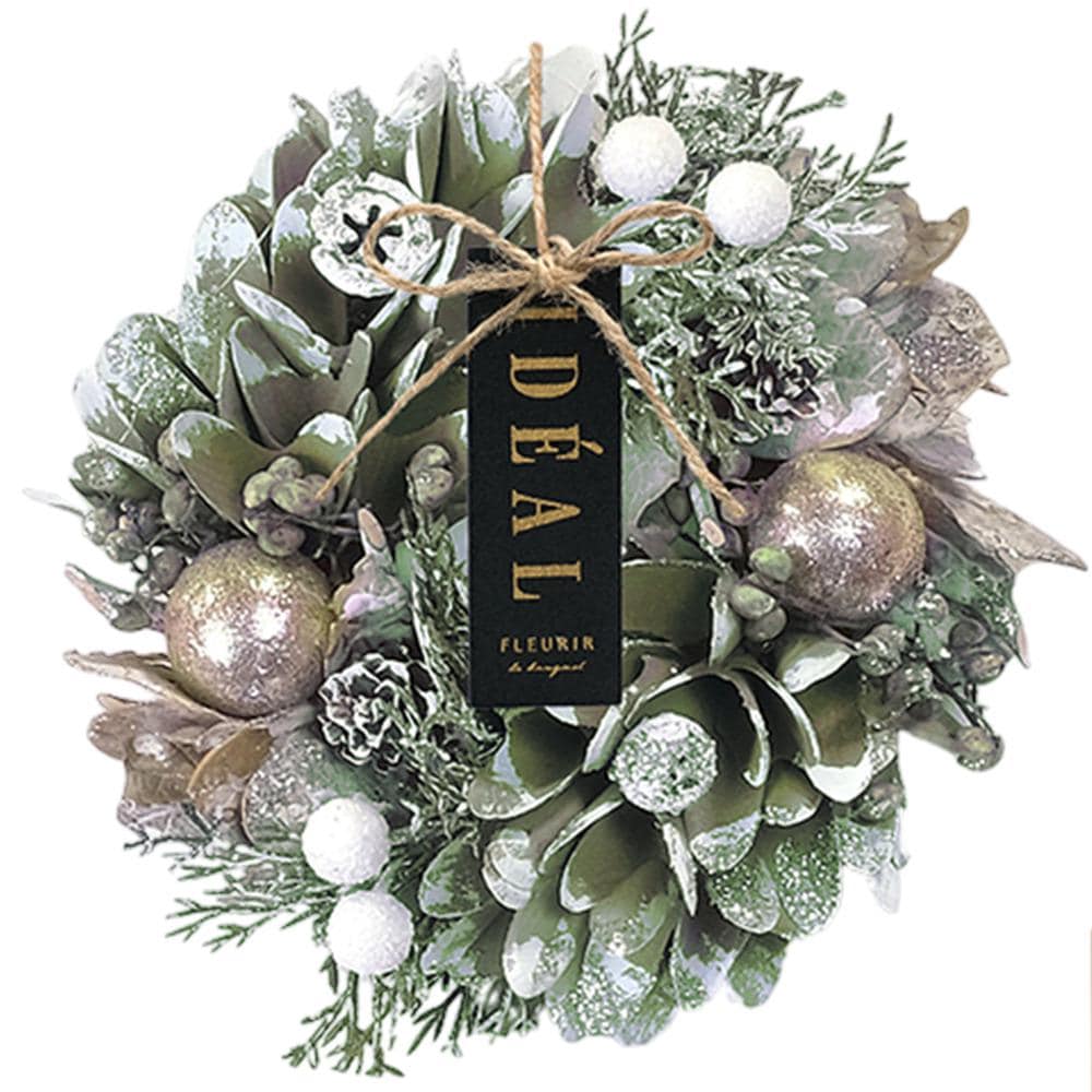 [}C]i`[X SS/obN[ht@~[iBACKYARD FAMILYj O[XpC