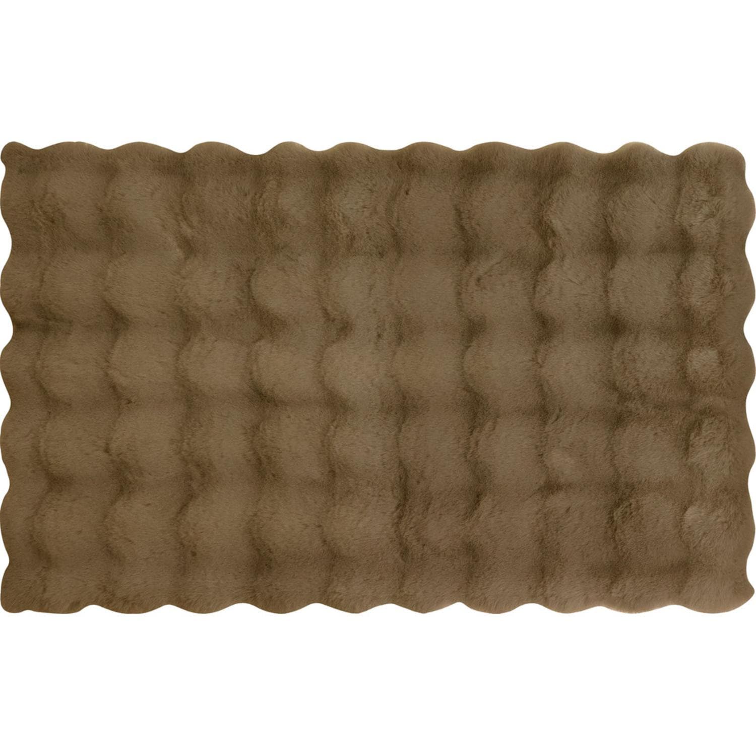 [}C]pocotto rbgt@[CeA}bg 50x80/obN[ht@~[iBACKYARD FAMILYj uE