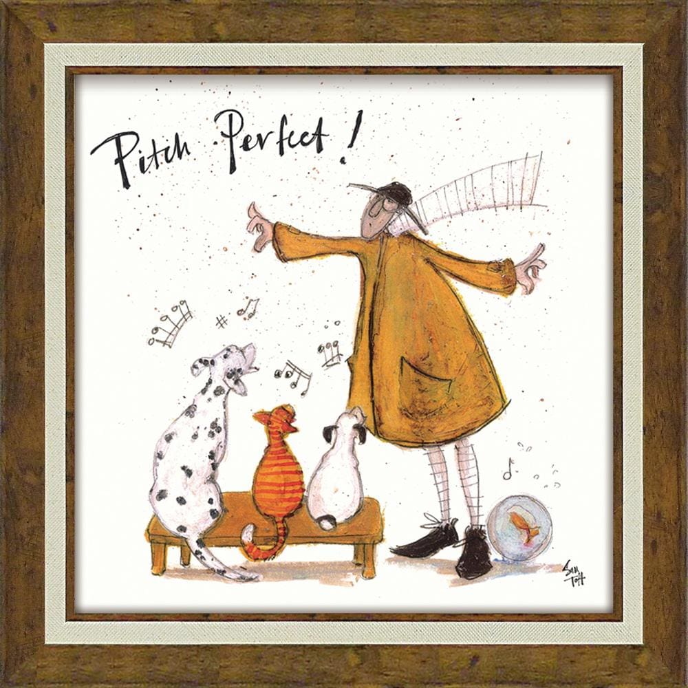 [}C]SamToft Tgtg A[gt[/obN[ht@~[iBACKYARD FAMILYj p[tFNgI