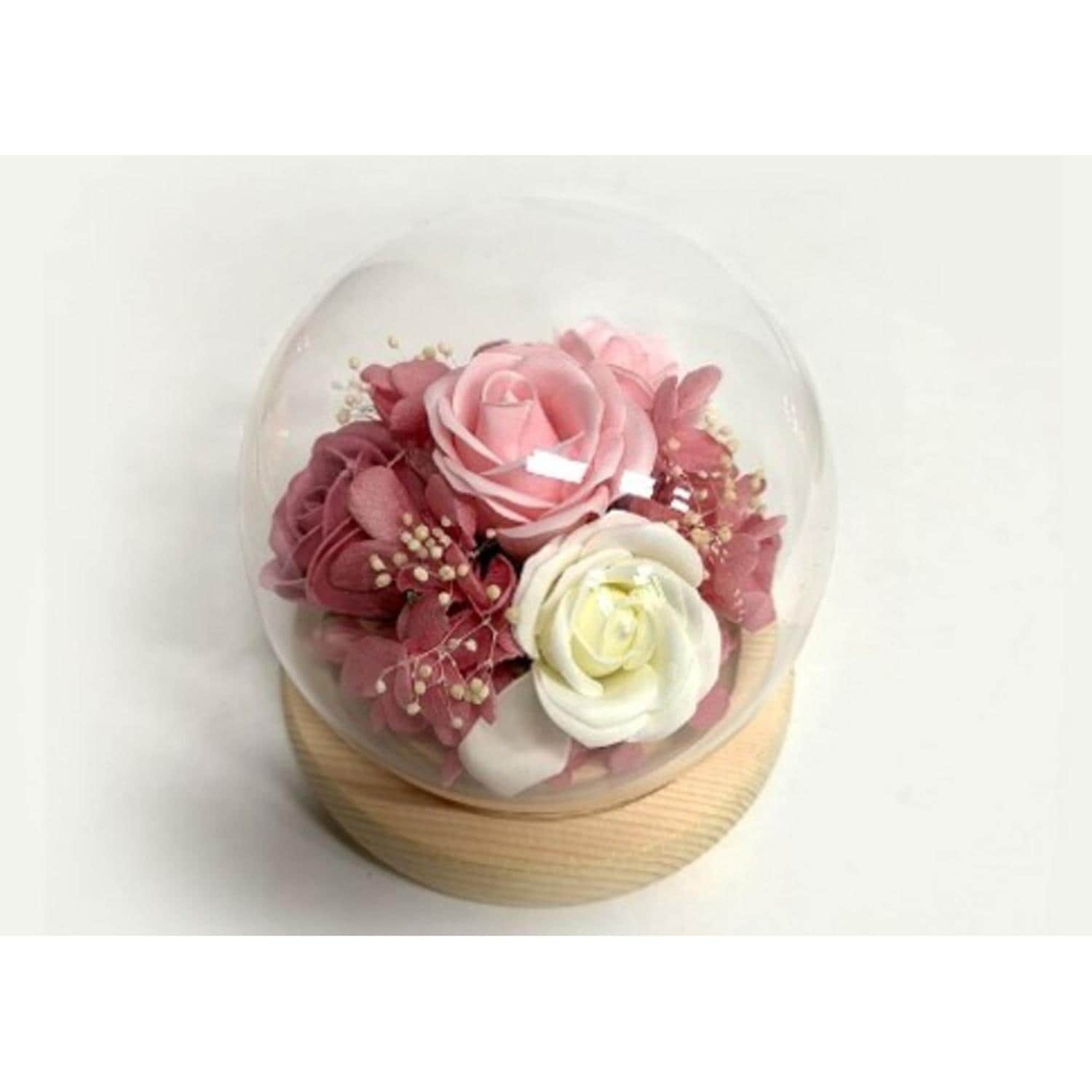 [}C]OXEhEXtF[/obN[ht@~[iBACKYARD FAMILYj sN