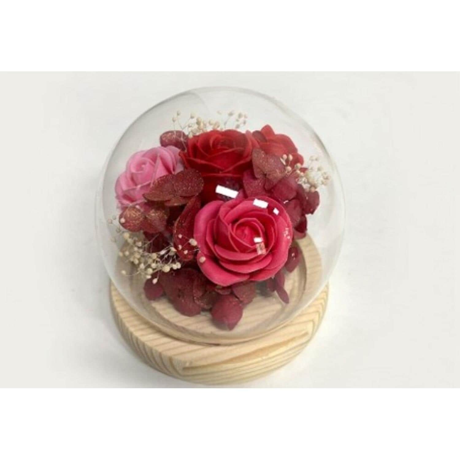 [}C]OXEhEXtF[/obN[ht@~[iBACKYARD FAMILYj bh