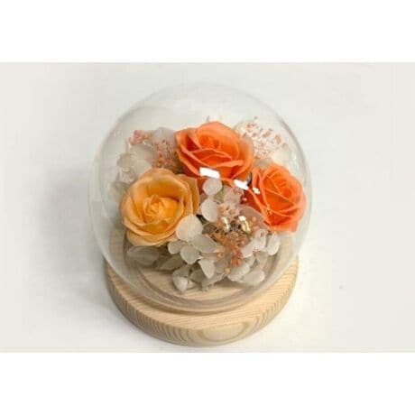 [^:am25s]yuhz A[EfEt[yiz OXEhEXtF[y[J[^ԁz yizyԂɍʂ̃ANZgvXzpbƖ邭oB͂邱ƂȂuOXEhEXtF[vByԁX̔h[zȃKXh[̒ɁAv\[vt[AWBԂŊy߂i1jKX̃t^͎O\łBy΂񐻂̃v\[vt[z{̂Ԃ̑@ׂČBԂт̌`␶Ԃ̂悤ȐX́Bi2j˓⎼CAʂ̗ǂꏊɏ邱ƂŁA蒷Ԃły݂܂BysvłꃉNNzʓ|Ȃ͕KvȂIs݂̎SAǂȂłCyɂԂ遝y|Ԃ炸ŃmXgXzKXh[ɕĂ̂ŁAԂzRŉȂIh[TbƐ@邾ByƂ蕨ɂ҂zꏊI΂₷TCYBzv\[vt[ɍ߂ē͂悤yfށzv\[vt[AKXyYz yTCYz[c]10cm^[]10cm^[s]10cmTCY͓Xv̎TCYłBۂ̏iȂтɃ[J[\LTCYƂ͑̌덷ꍇ܂B炩߂Bydʁz146gyӓ_z舵̍ۂ́AipbP[WȂǂɋLڂĂi\AAeV^OAgp̒ӎȂǂKmFB{̖ړIȊOɂ͂gpɂȂȂŉBJ⃂j^[̐ɂA摜Ǝ̐F̈Ⴂꍇ܂̂ł肢܂BypV[zv[g 蕨 Mtg Ԃ zj V j juU[ht- ʔ KXh[ t[Mtg KX   t[AWg t[ 킢  zj j Vzj  rO ސE ސEj CeA A[EfEt[ zj Mtg