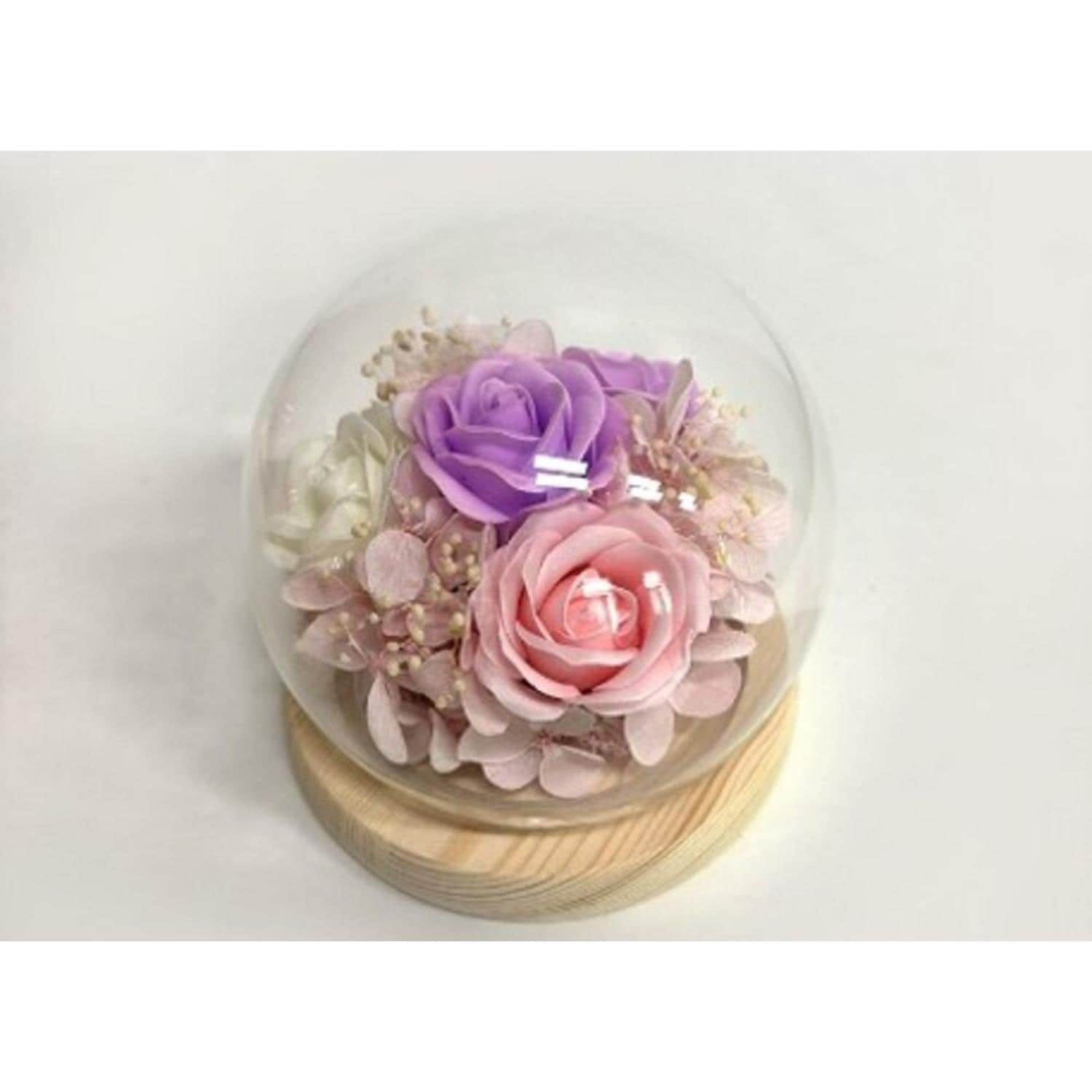 [}C]OXEhEXtF[/obN[ht@~[iBACKYARD FAMILYj x_[