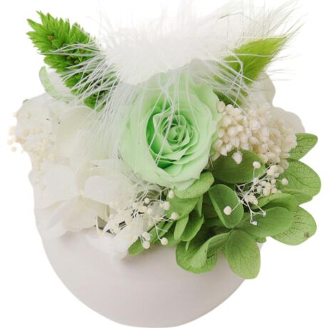 [^:am25p]yuhz A[EfEt[yiz vEt[y[J[^ԁz yizyԂɍʂ̃ANZgvXzpbƖ邭oB͂邱ƂȂuvEt[vByԂ̂悤ȃvU[uht[zԂɓۑH{AƑ@ׂ𒷊ԕۑ\BԂт͐Ԃ̂悤ȏ_炩Bi1j˓⋭ƖɒԓĂƁAFς鋰ꂪ܂BĕۊǂĂByƉڂ؂₩zۂ݂̂zCgJ[̃|bgBHfUCAJtȃvU[uht[ysvłꃉNNzʓ|Ȃ͕KvȂIs݂̎SAǂȂłCyɂԂ遝yCɓIׂJ[zDȐFAJ[`CX݂̂FŁAC邭IyƂ蕨ɂ҂zꏊI΂₷TCYBzvU[uht[ɍ߂ē͂悤i2jNAP[XtłByfށzVRfށAyYz yTCYzE{̃TCY[c]10cm^[]9cm^[s]8cmEpbP[WTCY[c]15cm^[]13cm^[s]10cmTCY͓Xv̎TCYłBۂ̏iȂтɃ[J[\LTCYƂ͑̌덷ꍇ܂B炩߂Bydʁz156gipbP[WݏȉdʂłB)yӓ_z舵̍ۂ́AipbP[WȂǂɋLڂĂi\AAeV^OAgp̒ӎȂǂKmFB{̖ړIȊOɂ͂gpɂȂȂŉBJ⃂j^[̐ɂA摜Ǝ̐F̈Ⴂꍇ܂̂ł肢܂BypV[zv[g 蕨 Mtg Ԃ zj V j juU[ht- ʔ t[AWg t[Mtg   킢  j Vzj  rO ʏ gC t[ zj ސE ސEj CeA A[EfEt[ zj Mtg 蕨