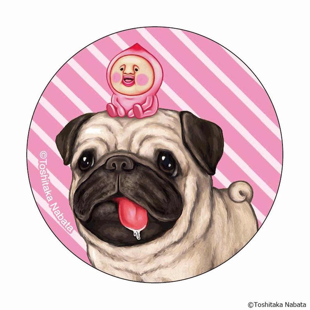 [}C]тƂÂ ܂SݓXʃobW(5)/obN[ht@~[iBACKYARD FAMILYj тƂÂ