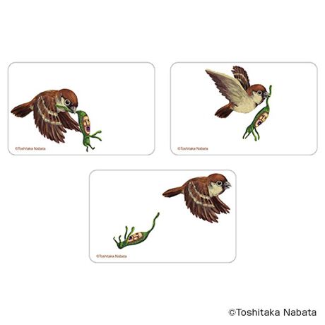 [^:pb2310160046]yuhz тƂÂyiz тƂÂ ܂SݓXNAJ[h(3)y[J[^ԁz yizDȃLN^[ƂꏏI `L[gpNAJ[hłBg낢I AJoɂAm[gX}zP[XɋŊy߂܂B`L[Ƃ́HpxŊGω鍑̍iȈZpBׂȃCXgŊGX[Yɐ؂ւ܂Bu܂SݓXv `L[gpGy`L[G݃uhłByfށzPETyYz {yTCYz86~54mmydʁz2gyӓ_z舵̍ۂ́AipbP[WȂǂɋLڂĂi\AAeV^OAgp̒ӎȂǂKmFB{̖ړIȊOɂ͂gpɂȂȂŉBJ⃂j^[̐ɂA摜Ǝ̐F̈Ⴂꍇ܂̂ł肢܂BypV[zv[g 蕨 Mtg Ԃ zj V j jтƂÂ ObY ʔ тƂ NAJ[h ܂SݓXNAJ[h 4947864050955 тƂÂ03 X}z X}[gtH  J[h 킢   JCC G{LN^[ `L[ IV zr[