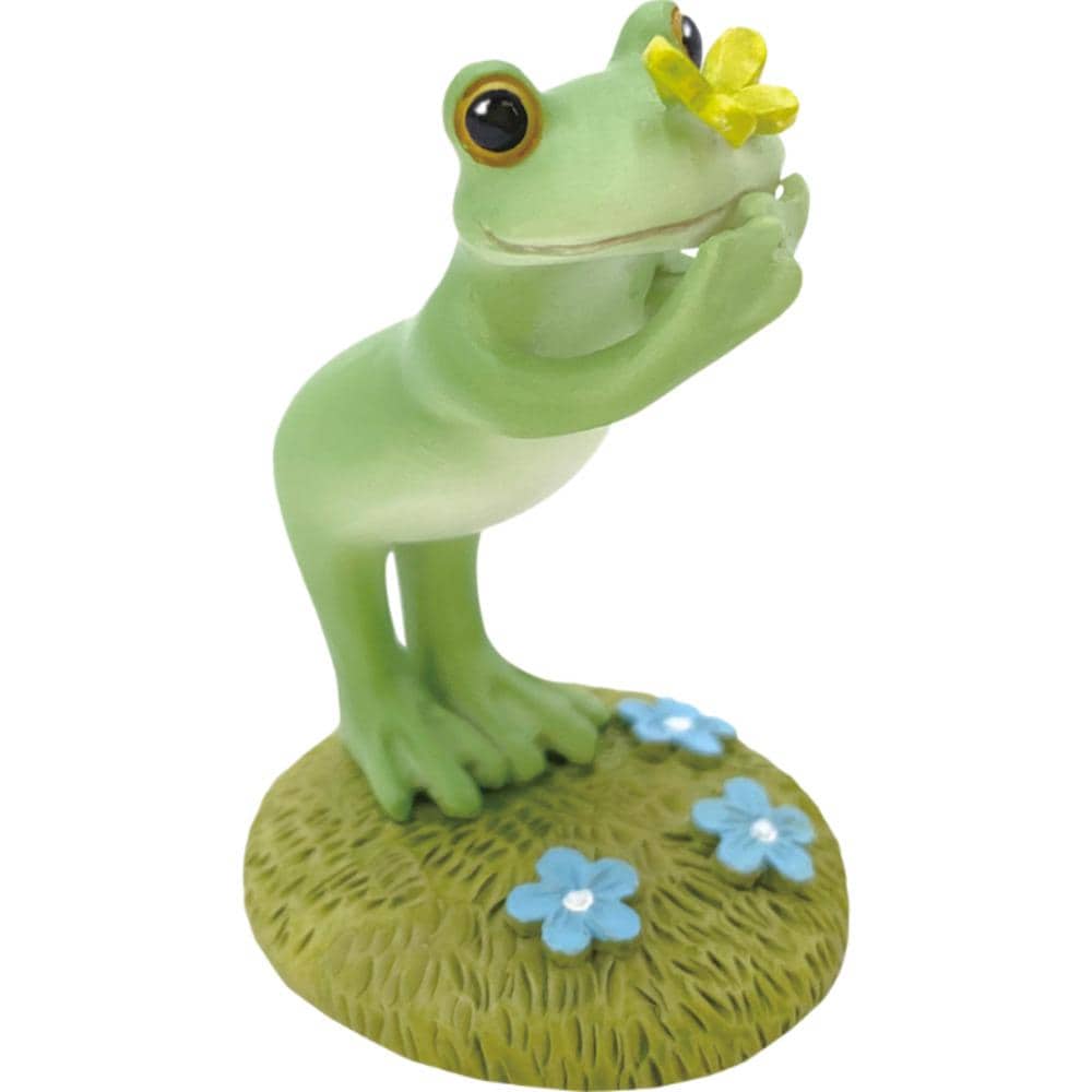 [}C]Copeau R|[ JG̒u/obN[ht@~[iBACKYARD FAMILYj 傤ƃJG