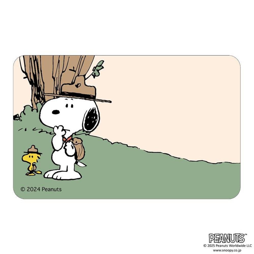 [}C]PEANUTS ܂SݓXXebJ[(9)/obN[ht@~[iBACKYARD FAMILYj PEANUTS9