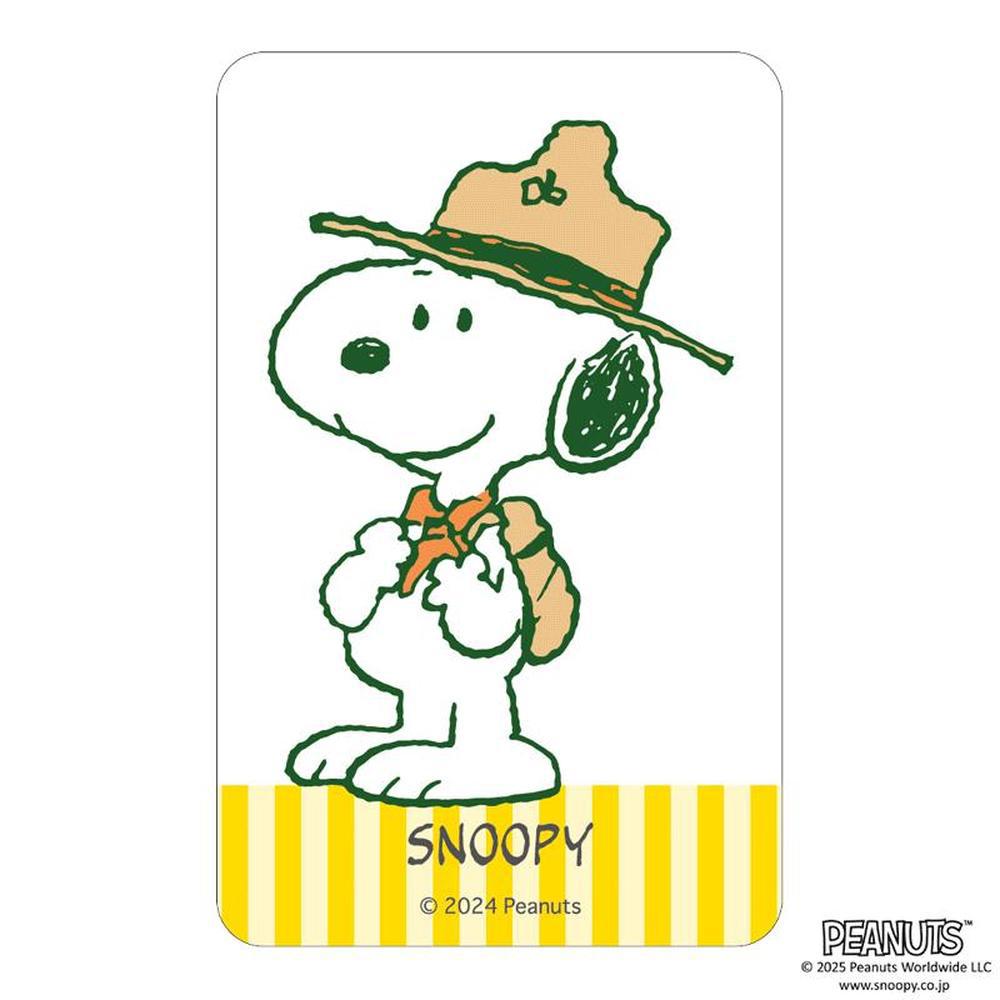 [}C]PEANUTS ܂SݓXNAJ[h(4)/obN[ht@~[iBACKYARD FAMILYj PEANUTS4