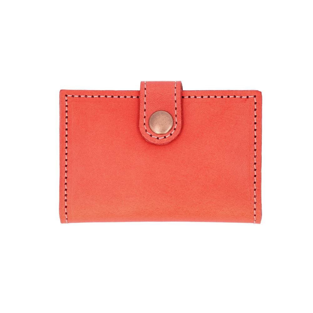 [�}���C]Native Creation ��܂� 4�A�L�[�P�[�X/�o�b�N���[�h�t�@�~���[�iBACKYARD FAMILY�j RED