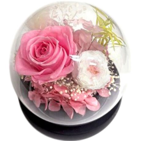 [^:am25e]yuhz A[EfEt[yiz OXEhEGNy[J[^ԁz yizyԂɍʂ̃ANZgvXzpbƖ邭oB͂邱ƂȂuOXEhEGNvByԁX̔h[zȃKXh[̒ɁA@ׂȃvU[uht[AWBԂŊy߂i1jKX̃t^͎O\łByԂ̂悤ȃvU[uht[zXƁAiȐF́B܂Ŗ{̂Ԃ̂悤ȁARȎdオBi2j˓⎼CAʂ̗ǂꏊɏ邱ƂŁA蒷Ԃły݂܂BysvłꃉNNzʓ|Ȃ͕KvȂIs݂̎SAǂȂłCyɂԂ遝y|Ԃ炸ŃmXgXzKXh[ɕĂ̂ŁAԂzRŉȂIh[TbƐ@邾ByƂ蕨ɂ҂zꏊI΂₷TCYBzvU[uht[ɍ߂ē͂悤yfށzvU[uht[EKXyYz yTCYz[c]10cm^[(ꕔ)]a11cm^[s]11cmTCY͓Xv̎TCYłBۂ̏iȂтɃ[J[\LTCYƂ͑̌덷ꍇ܂B炩߂Bydʁz189gyӓ_z舵̍ۂ́AipbP[WȂǂɋLڂĂi\AAeV^OAgp̒ӎȂǂKmFB{̖ړIȊOɂ͂gpɂȂȂŉBJ⃂j^[̐ɂA摜Ǝ̐F̈Ⴂꍇ܂̂ł肢܂BypV[zv[g 蕨 Mtg Ԃ zj V j juU[ht- ʔ t[Mtg KX t[AWg KXh[   킢  t[ j Vzj  rO zj CeA ސE ސEj A[EfEt[ Mtg 蕨 zj