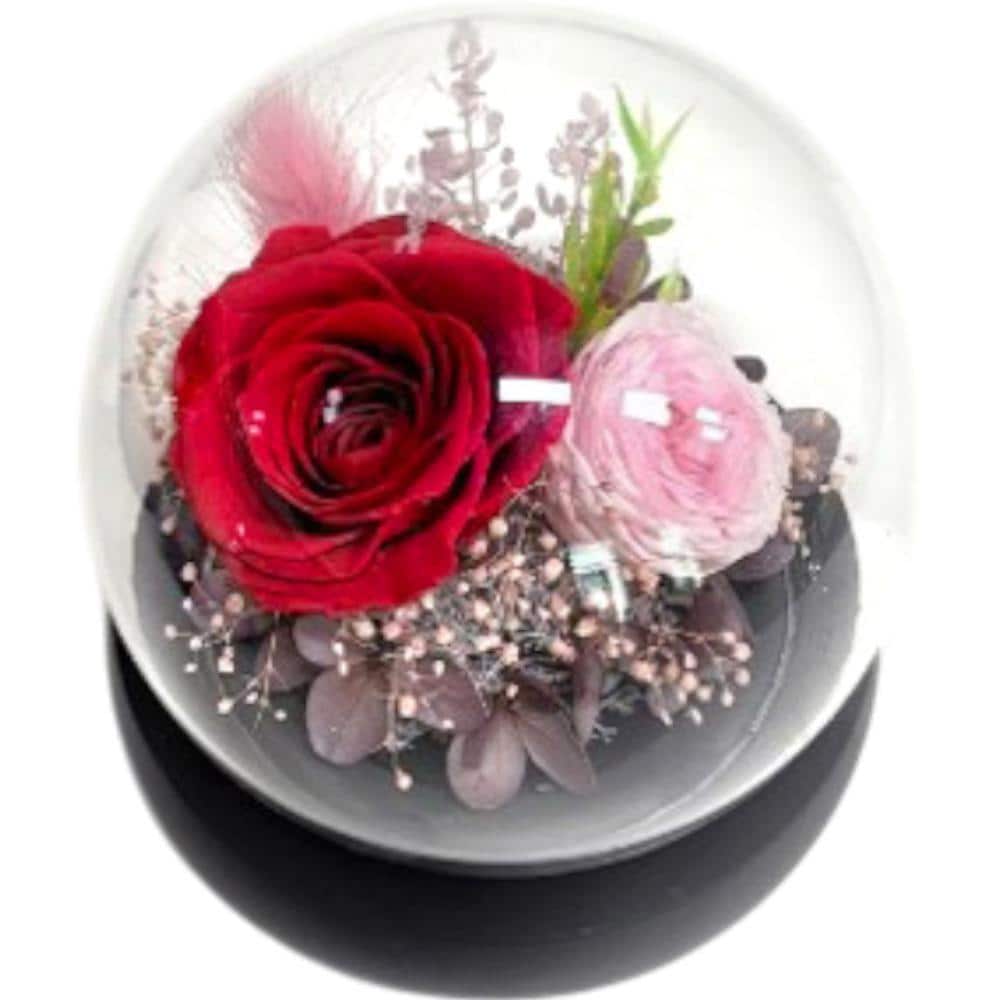 [}C]OXEhEGN/obN[ht@~[iBACKYARD FAMILYj bh