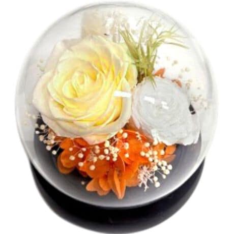 [^:am25e]yuhz A[EfEt[yiz OXEhEGNy[J[^ԁz yizyԂɍʂ̃ANZgvXzpbƖ邭oB͂邱ƂȂuOXEhEGNvByԁX̔h[zȃKXh[̒ɁA@ׂȃvU[uht[AWBԂŊy߂i1jKX̃t^͎O\łByԂ̂悤ȃvU[uht[zXƁAiȐF́B܂Ŗ{̂Ԃ̂悤ȁARȎdオBi2j˓⎼CAʂ̗ǂꏊɏ邱ƂŁA蒷Ԃły݂܂BysvłꃉNNzʓ|Ȃ͕KvȂIs݂̎SAǂȂłCyɂԂ遝y|Ԃ炸ŃmXgXzKXh[ɕĂ̂ŁAԂzRŉȂIh[TbƐ@邾ByƂ蕨ɂ҂zꏊI΂₷TCYBzvU[uht[ɍ߂ē͂悤yfށzvU[uht[EKXyYz yTCYz[c]10cm^[(ꕔ)]a11cm^[s]11cmTCY͓Xv̎TCYłBۂ̏iȂтɃ[J[\LTCYƂ͑̌덷ꍇ܂B炩߂Bydʁz189gyӓ_z舵̍ۂ́AipbP[WȂǂɋLڂĂi\AAeV^OAgp̒ӎȂǂKmFB{̖ړIȊOɂ͂gpɂȂȂŉBJ⃂j^[̐ɂA摜Ǝ̐F̈Ⴂꍇ܂̂ł肢܂BypV[zv[g 蕨 Mtg Ԃ zj V j juU[ht- ʔ t[Mtg KX t[AWg KXh[   킢  t[ j Vzj  rO zj CeA ސE ސEj A[EfEt[ Mtg 蕨 zj