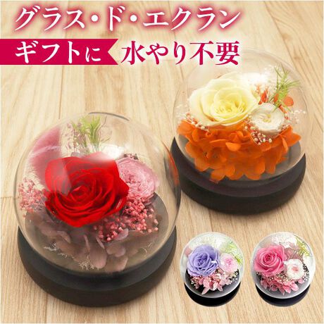 [^:am25e]yuhz A[EfEt[yiz OXEhEGNy[J[^ԁz yizyԂɍʂ̃ANZgvXzpbƖ邭oB͂邱ƂȂuOXEhEGNvByԁX̔h[zȃKXh[̒ɁA@ׂȃvU[uht[AWBԂŊy߂i1jKX̃t^͎O\łByԂ̂悤ȃvU[uht[zXƁAiȐF́B܂Ŗ{̂Ԃ̂悤ȁARȎdオBi2j˓⎼CAʂ̗ǂꏊɏ邱ƂŁA蒷Ԃły݂܂BysvłꃉNNzʓ|Ȃ͕KvȂIs݂̎SAǂȂłCyɂԂ遝y|Ԃ炸ŃmXgXzKXh[ɕĂ̂ŁAԂzRŉȂIh[TbƐ@邾ByƂ蕨ɂ҂zꏊI΂₷TCYBzvU[uht[ɍ߂ē͂悤yfށzvU[uht[EKXyYz yTCYz[c]10cm^[(ꕔ)]a11cm^[s]11cmTCY͓Xv̎TCYłBۂ̏iȂтɃ[J[\LTCYƂ͑̌덷ꍇ܂B炩߂Bydʁz189gyӓ_z舵̍ۂ́AipbP[WȂǂɋLڂĂi\AAeV^OAgp̒ӎȂǂKmFB{̖ړIȊOɂ͂gpɂȂȂŉBJ⃂j^[̐ɂA摜Ǝ̐F̈Ⴂꍇ܂̂ł肢܂BypV[zv[g 蕨 Mtg Ԃ zj V j juU[ht- ʔ t[Mtg KX t[AWg KXh[   킢  t[ j Vzj  rO zj CeA ސE ސEj A[EfEt[ Mtg 蕨 zj