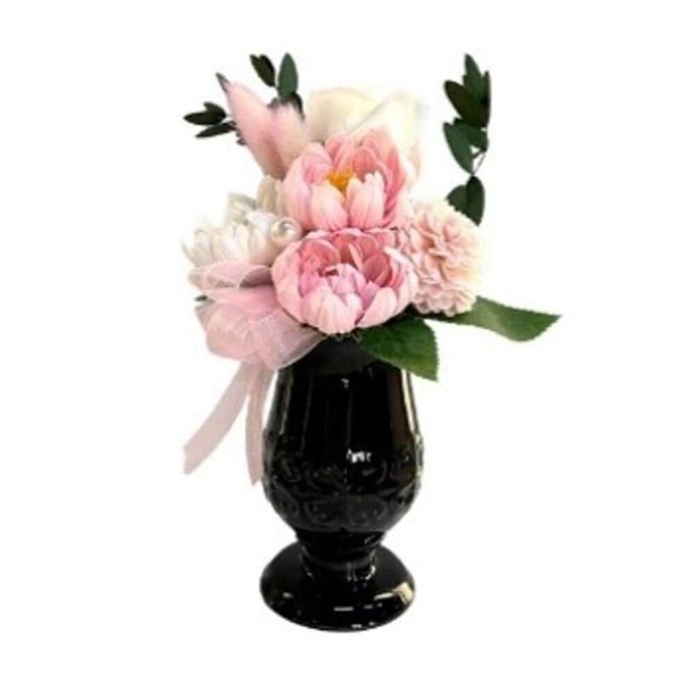 [}C]hD[XE[/obN[ht@~[iBACKYARD FAMILYj CgsN