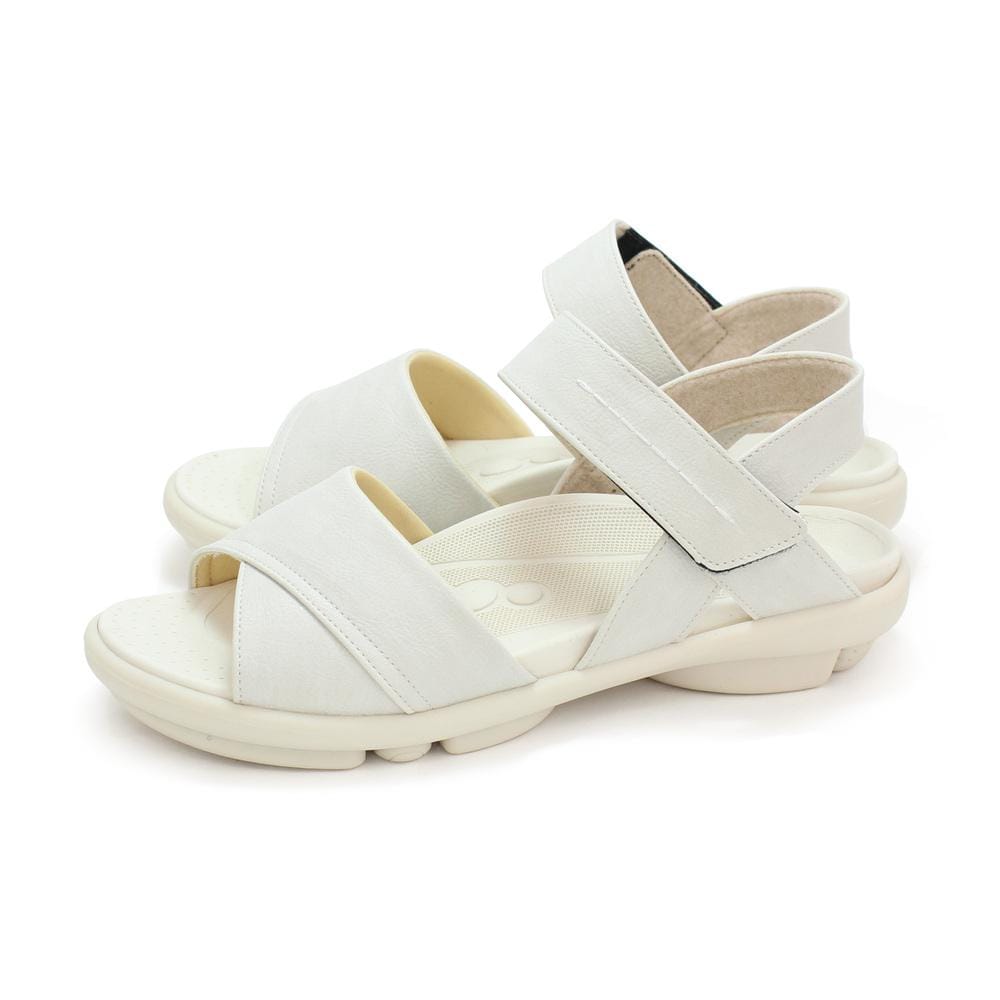 [}C]2ball cH Xeb`T_ TB-201/obN[ht@~[iBACKYARD FAMILYj AC{[