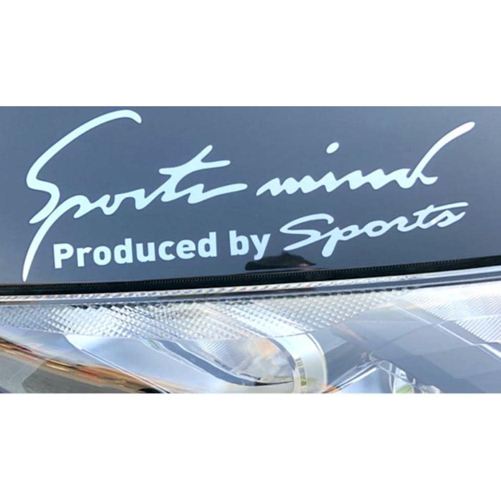 [}C]Sport mind X|[c}Ch  XebJ[ STCY/obN[ht@~[iBACKYARD FAMILYj Vo[