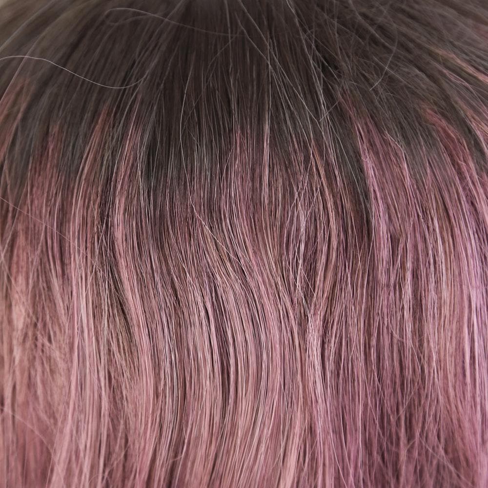 [}C]vVI[EBbO Of nj[EF[u{u CTA-103/obN[ht@~[iBACKYARD FAMILYj CTDP/ϔM_[Nv