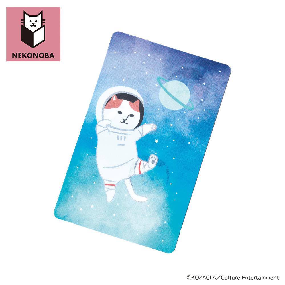 [}C]NEKONOBA ƊGςIXebJ[/obN[ht@~[iBACKYARD FAMILYj FVjNYASA