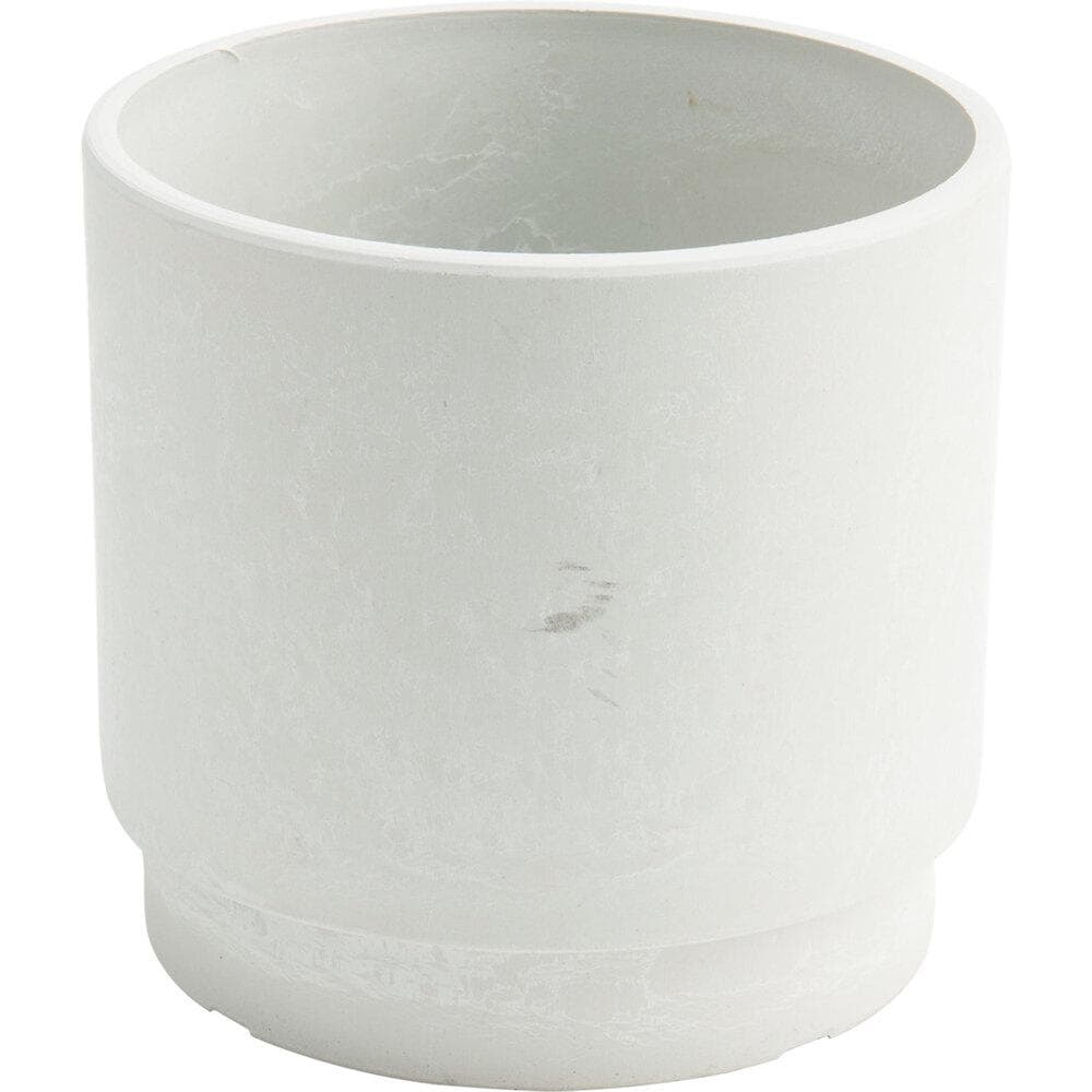 [}C]SK Xebv 15.5xH15/obN[ht@~[iBACKYARD FAMILYj ~L[