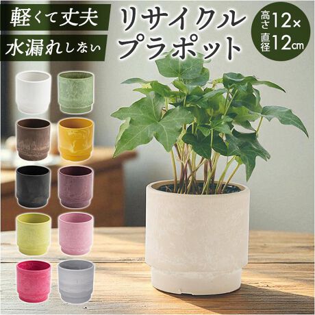 [^:skstep12]yuhz m[uh NO BRANDyiz SK Xebv 12xH12y[J[^ԁz yizyԂAƂƂɍʂzJtłȁATCNv|bguSK Xebv 12xH12vByɗDTCNfށzpvX`bNpATCNfނ̗pBGRɌqACeyĉȂi`Ȏdオzؕ邱ƂŃcA}bgȎɁBVvŖOAdオByϋv̂ŁAɂzΕ邱ƂɂAyʂȂvByx̗Ȃǂł΁Aɂ̂|CgByRꂹAg蔲Qzώ_EϐHɗDARꂵȂfށBAW┫Jo[ɃZñZbgsvByX^bLOłăXgbNɍœKz`̊ɒit邱ƂŁAd˒uOKBԉȂǂł̃XgbNȃXy[XByAW݂Ŏg낢zhȂǂ̍HŁAJ\BJo[At[AWgpƂĂd󁝁ijt[AWgpƂĎgpۂ́At[tH[izX|WjpӂBc3.5TCYɓKByIԂ̂yJ[OzFAANZgɂȂJ[LxɃCibvBFႢ߁yfށzvX`bNyYz yTCYz[c]12cm^[㕔a]12cm^[ꕔa]11cmTCY͓Xv̎TCYłBۂ̏iȂтɃ[J[\LTCYƂ͑̌덷ꍇ܂B炩߂Bydʁz325gyӓ_z舵̍ۂ́AipbP[WȂǂɋLڂĂi\AAeV^OAgp̒ӎȂǂKmFB{̖ړIȊOɂ͂gpɂȂȂŉBJ⃂j^[̐ɂA摜Ǝ̐F̈Ⴂꍇ܂̂ł肢܂BypV[zv[g 蕨 Mtg Ԃ zj V j jAؔ vX`bN ی^ ʔ SK Xebv 12xH12   3.5 Jo[ v^[ v|bg v^[Jo[ A |bg A  y y ϗtA t[AWg CeA TCNv|bg 킢