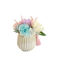 バックヤードファミリー(BACKYARD FAMILY)のルミエール・デュ・クール