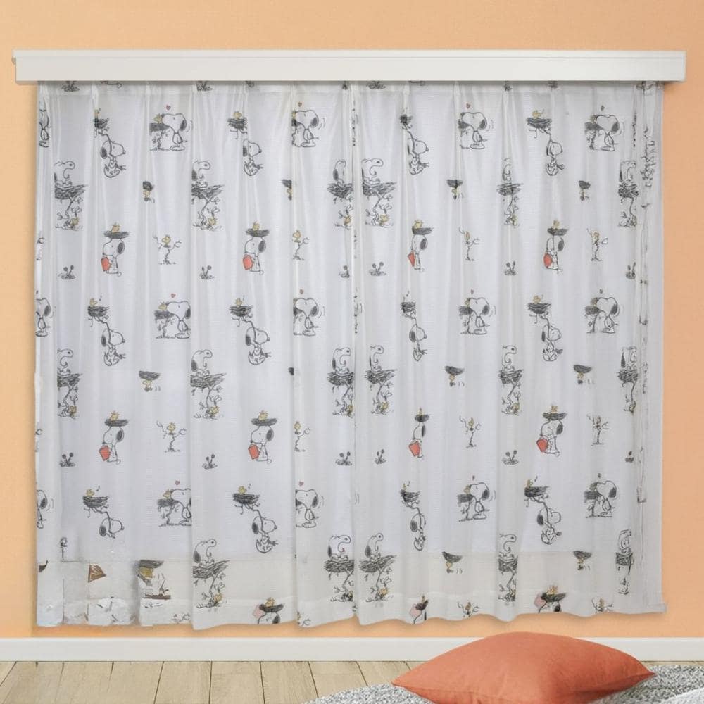 [}C]LN^[ [XJ[e 2g/obN[ht@~[iBACKYARD FAMILYj Xk[s[