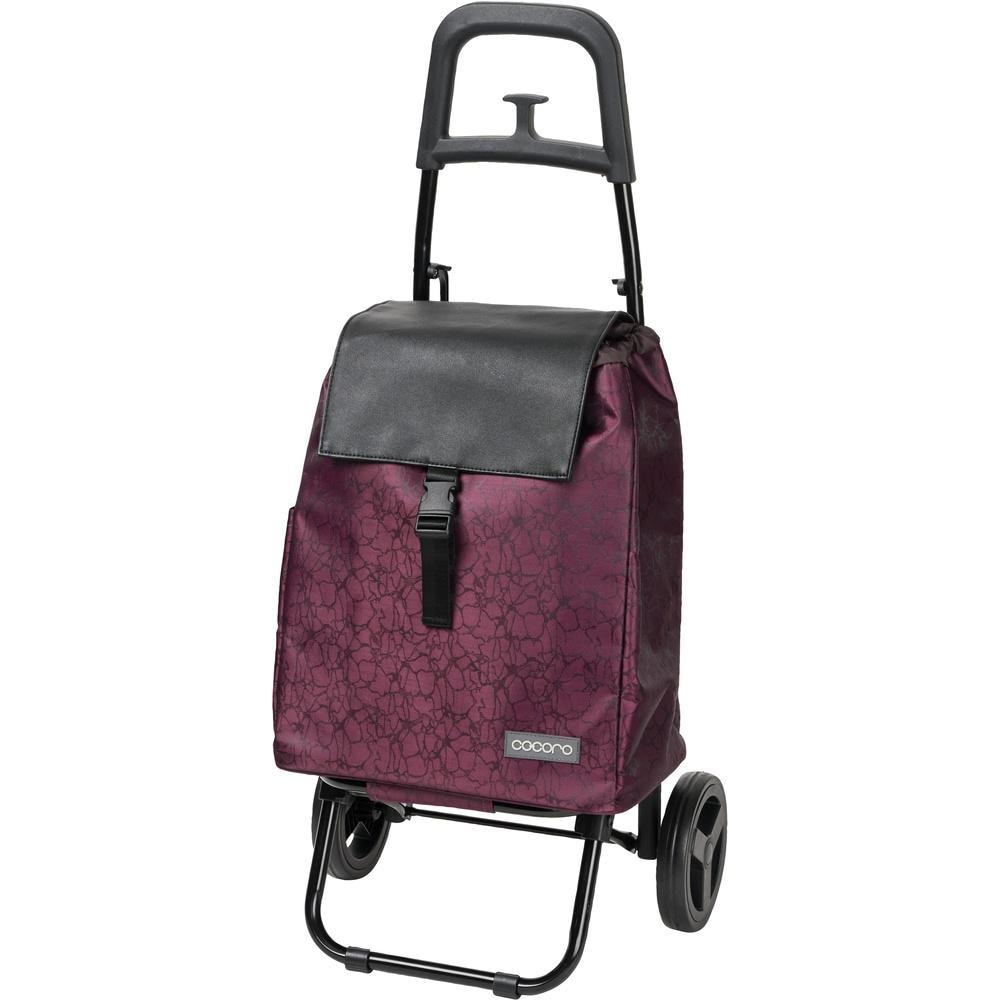 [}C]cocoro RER X[lIJ[g/obN[ht@~[iBACKYARD FAMILYj [t[X{h[