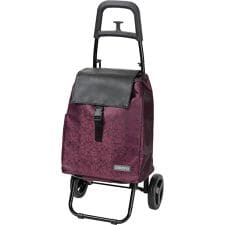 cocoro コ・コロ スモールネオカート