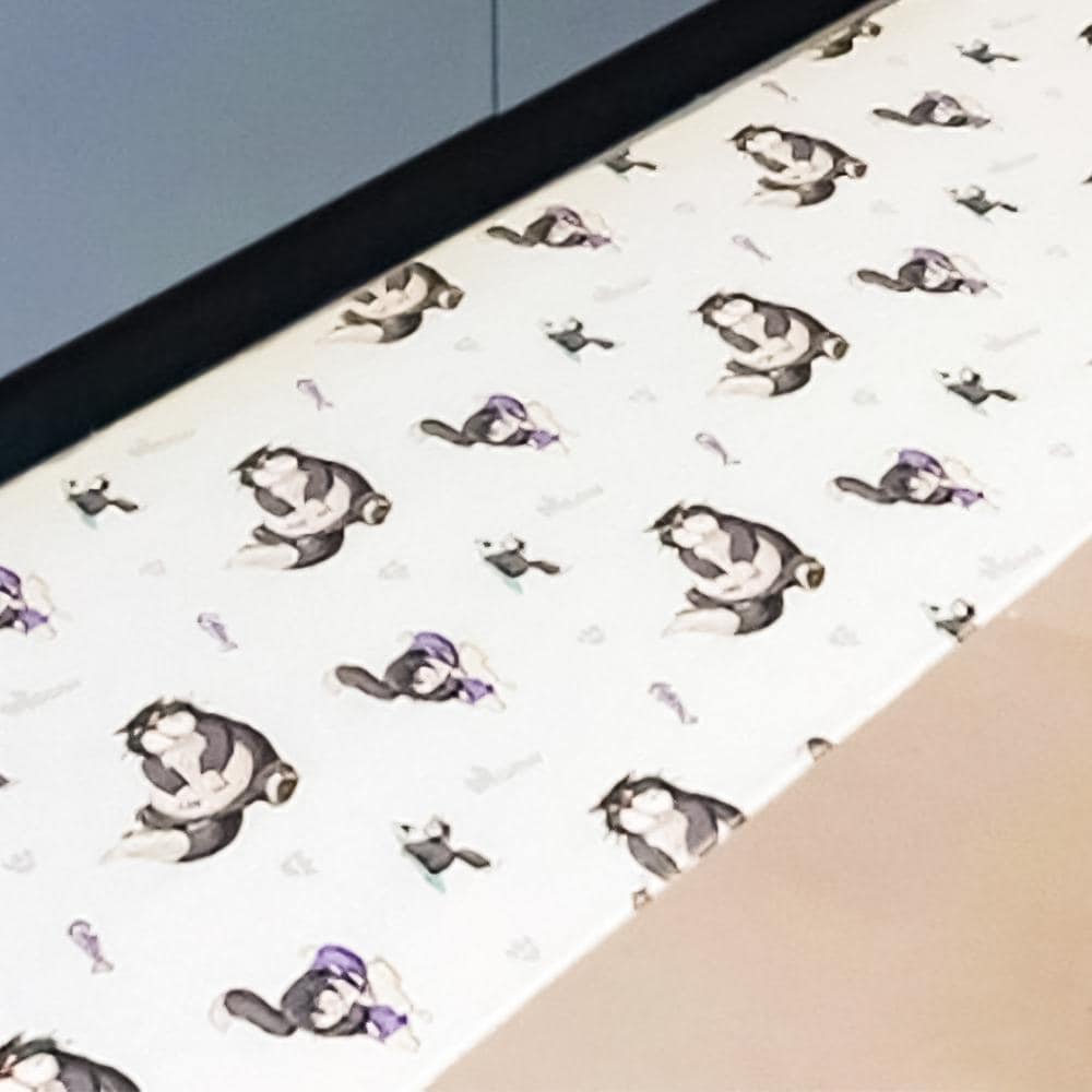 [}C]LN^[PVC Lb`}bg/obN[ht@~[iBACKYARD FAMILYj Vt@[