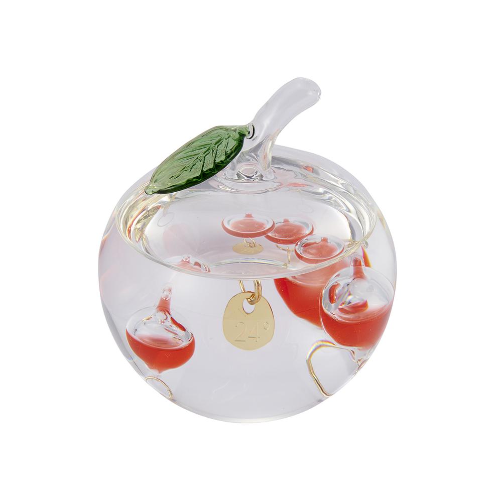 [}C]KXt[gxv /obN[ht@~[iBACKYARD FAMILYj 