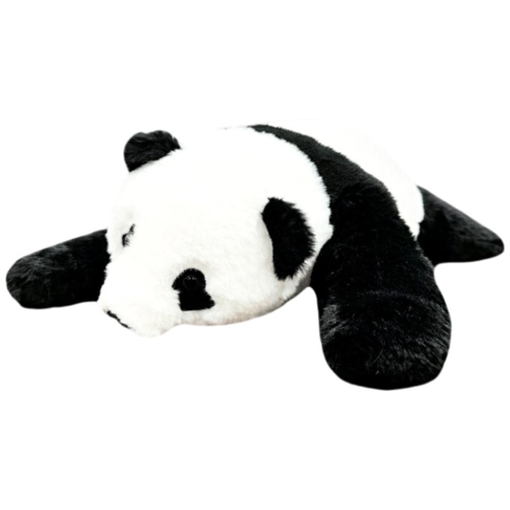 [}C]omonui ʂ/obN[ht@~[iBACKYARD FAMILYj p_