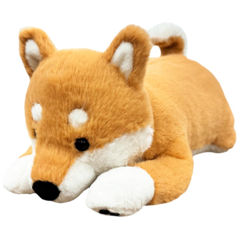 [}C]omonui ʂ/obN[ht@~[iBACKYARD FAMILYj Č